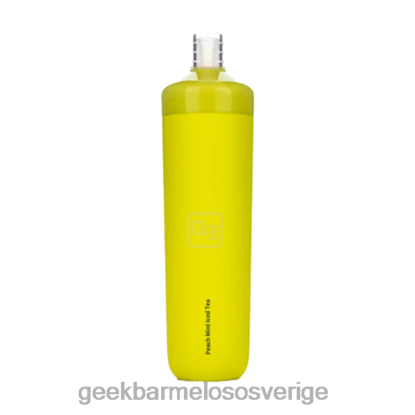 Geek Bar Price - Geek Bar x6000 tf-nic engångs ZRX2D8 persika mynta iste